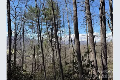 204 Minerva Drive #11, Waynesville, NC 28785 - Photo 7