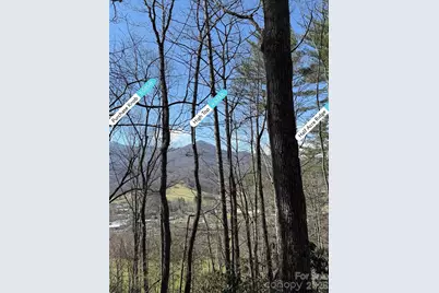 204 Minerva Drive #11, Waynesville, NC 28785 - Photo 3