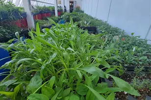 437 Onteora Blvd, Asheville, NC 28803 - Photo 27