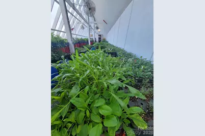 437 Onteora Boulevard, Asheville, NC 28803 - Photo 29