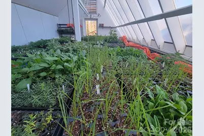 437 Onteora Boulevard, Asheville, NC 28803 - Photo 31