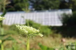 437 Onteora Blvd, Asheville, NC 28803 - Photo 31