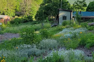 437 Onteora Blvd, Asheville, NC 28803 - Photo 37