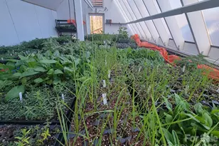 437 Onteora Blvd, Asheville, NC 28803 - Photo 3