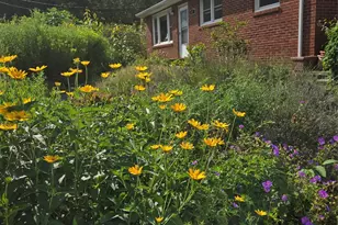 437 Onteora Blvd, Asheville, NC 28803 - Photo 1