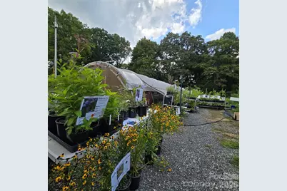 437 Onteora Boulevard, Asheville, NC 28803 - Photo 33