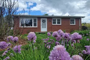 437 Onteora Blvd, Asheville, NC 28803 - Photo 7