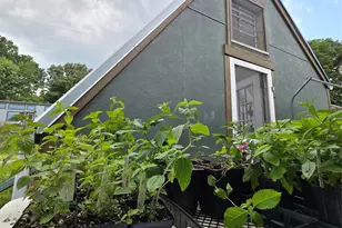 437 Onteora Blvd, Asheville, NC 28803 - Photo 25