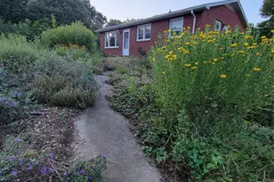 437 Onteora Blvd, Asheville, NC 28803 - Photo 43