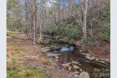 565 Chestertown Drive, Mill Spring, NC 28756 - Photo 43