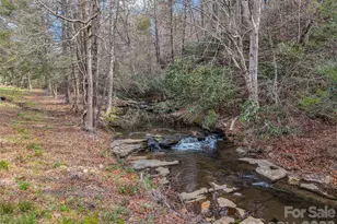 565 Chestertown Dr, Mill Spring, NC 28756 - Photo 43