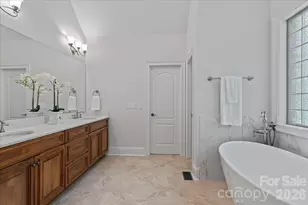188 Freshwater Ln, Mooresville, NC 28117 - Photo 17