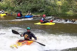 417 Quiet Forest Ln, Sylva, NC 28779 - Photo 33