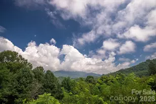 417 Quiet Forest Ln, Sylva, NC 28779 - Photo 25