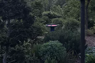 210 Wildflower Rd, Asheville, NC 28804 - Photo 5