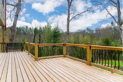 210 Wildflower Road, Asheville, NC 28804 - Photo 41