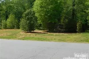 0 Maple Brook Dr, Denver, NC 28037 - Photo 1