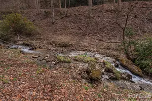 897 Dark Ridge Rd, Sylva, NC 28779 - Photo 27