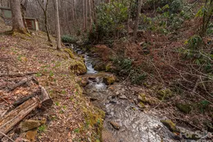 897 Dark Ridge Rd, Sylva, NC 28779 - Photo 31