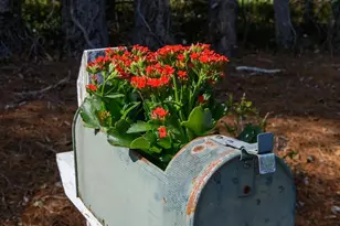 885 Beverly Cir NE, Lenoir, NC 28645 - Photo 35