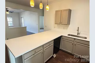 19923 Weeping Water Run, Cornelius, NC 28031 - Photo 3