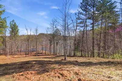 193 Table Rock Trace NW #129, Valdese, NC 28690 - Photo 3