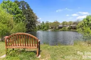 521 Crowfields Ln, Asheville, NC 28803 - Photo 33