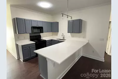 19925 Weeping Water Run, Cornelius, NC 28031 - Photo 3