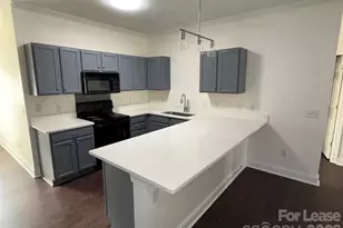 19925 Weeping Water Run, Cornelius, NC 28031 - Photo 3