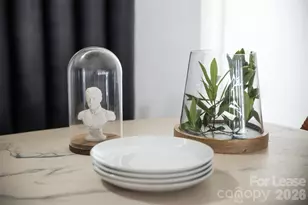 341 Viburnum Way Ct, Charlotte, NC 28208 - Photo 9