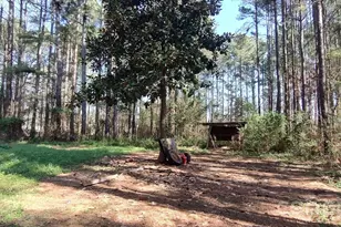 5030 Pine Springs Dr, Bessemer City, NC 28016 - Photo 5