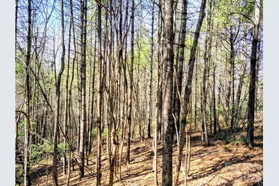 10 Acres Tahoe Trail, Collettsville, NC 28611 - Photo 9