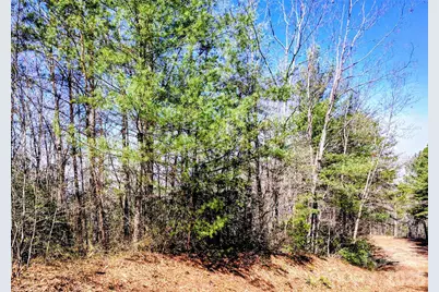 10 Acres Tahoe Trail, Collettsville, NC 28611 - Photo 7