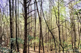 10 Acres Tahoe Trail, Collettsville, NC 28611 - Photo 1