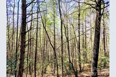 10 Acres Tahoe Trail, Collettsville, NC 28611 - Photo 11