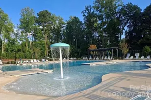 741 Little Bluestem Dr, Clover, SC 29710 - Photo 21