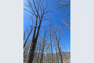 600 High Pines Loop, Lake Lure, NC 28746 - Photo 31