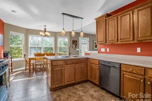 3 Wagon Trce, Flat Rock, NC 28731 - Photo 19