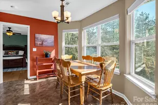 3 Wagon Trce, Flat Rock, NC 28731 - Photo 13