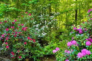 38 Sutton Knob Rd, Candler, NC 28715 - Photo 7