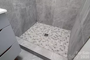 19 Wentworth Ave, Asheville, NC 28803 - Photo 17