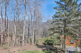 46 Stump Ln, Maggie Valley, NC 28751 - Photo 27