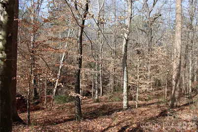 Lot 13 Weatherfield Drive #13, Lincolnton, NC 28092 - Photo 3