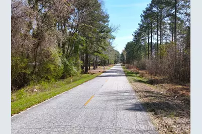 Tract 1&2 Snow Hill Road, Chesterfield, SC 29709 - Photo 13