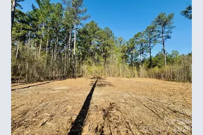 Tract 1&2 Snow Hill Road, Chesterfield, SC 29709 - Photo 21