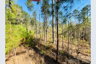 Tract 1&2 Snow Hill Road, Chesterfield, SC 29709 - Photo 19