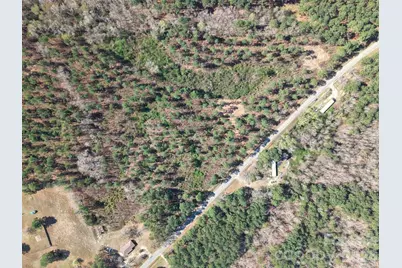 Tract 1&2 Snow Hill Road, Chesterfield, SC 29709 - Photo 3