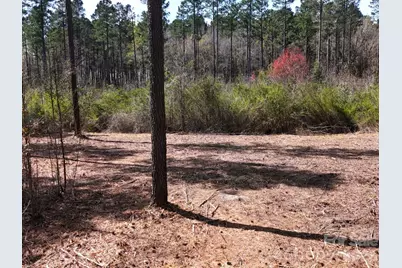 Tract 1&2 Snow Hill Road, Chesterfield, SC 29709 - Photo 7