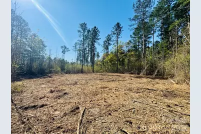 Tract 1&2 Snow Hill Road, Chesterfield, SC 29709 - Photo 17