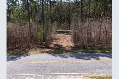 Tract 1&2 Snow Hill Road, Chesterfield, SC 29709 - Photo 5